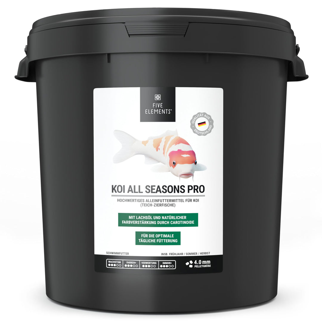 FIVE ELEMENTS Koi Allround Plus | 8,4 kg | hochwertiges Herbst-Futter für Koi | Lachsöl | Kurkuma zu