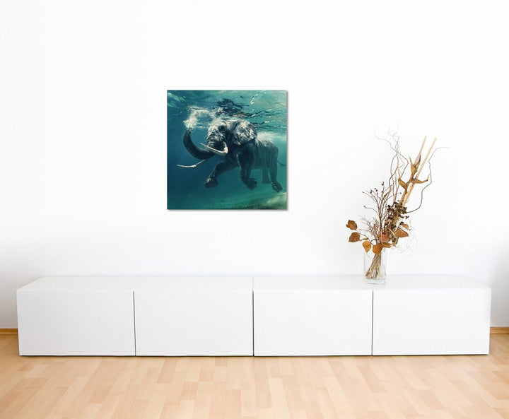 Sinus Art Wandbild 90x90cm Tierfotografie – Schwimmender Elefant unter Wasser, 90x90cm