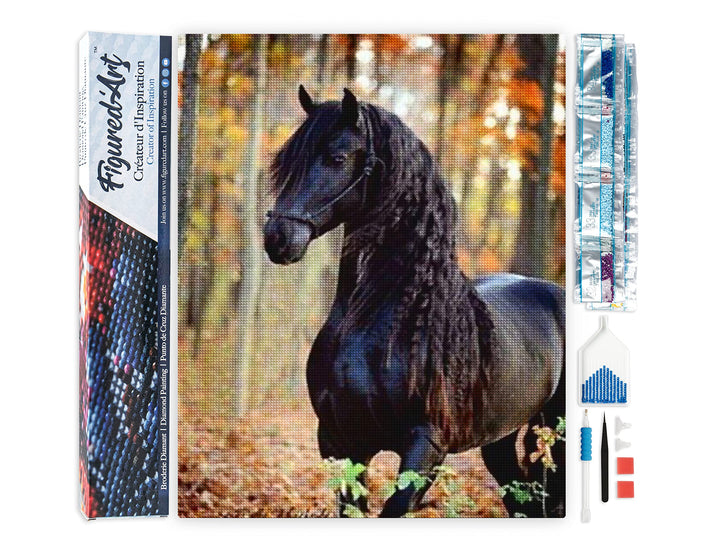 Figured'Art Diamond Painting Erwachsene 40x50cm Ganze Leinwand gerollt Schwarzes Pferd 5D Bilder Eck