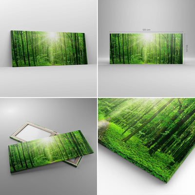 Wandbilder Dekoration Wohnzimmer Sonnenstrahlen Wald Sommer Panorama Bilder auf Leinwand 120x50cm Le