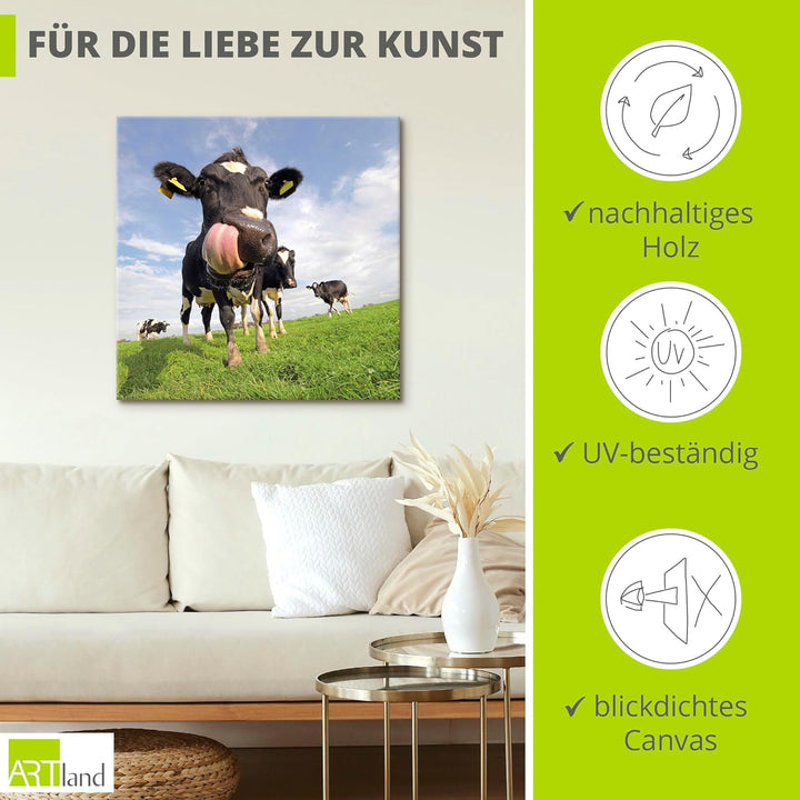 ARTland Leinwandbilder Wandbild Bild auf Leinwand 70x70 cm Kuh Tiere Zunge Lustig Süss Landhaus Baue
