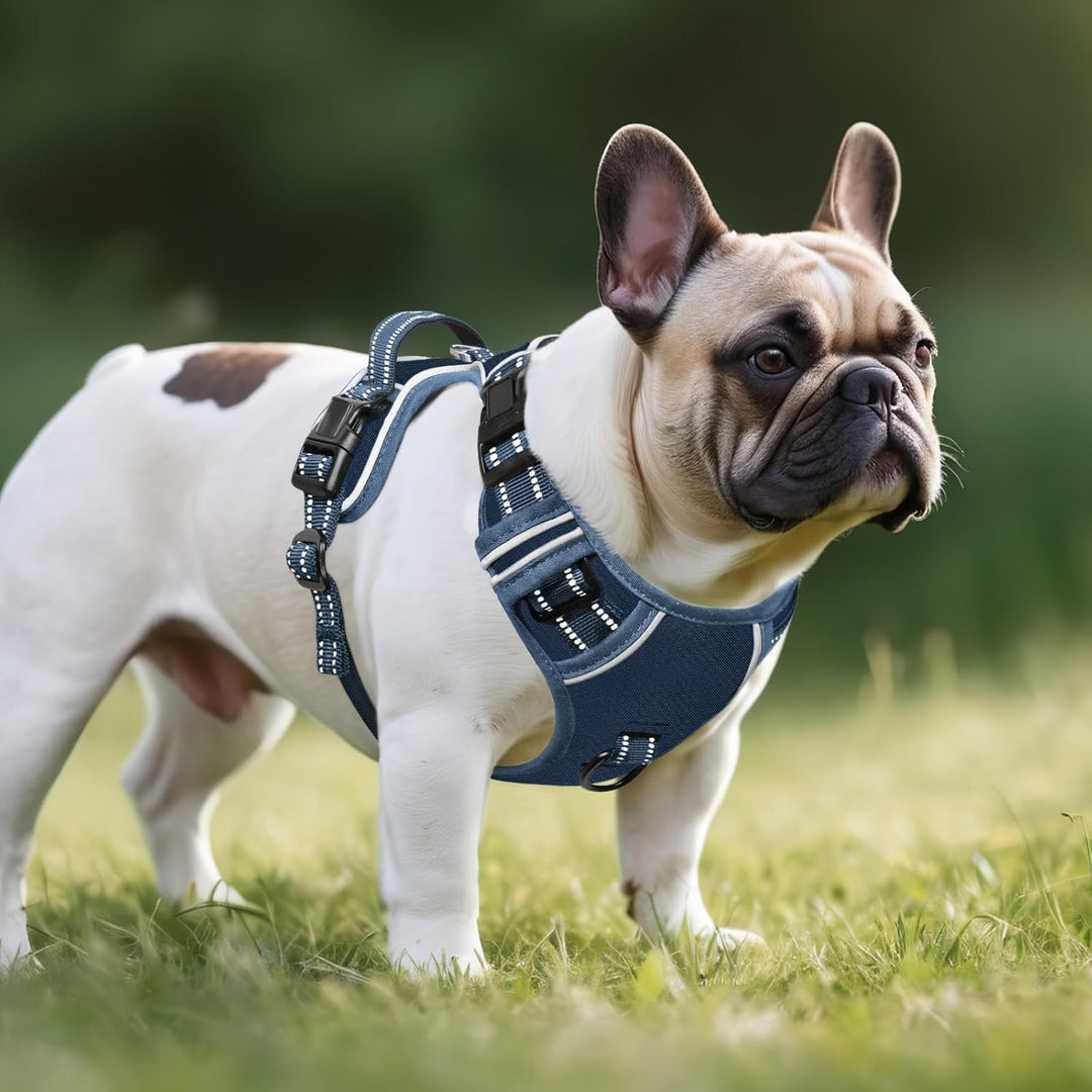 HEELE Hundegeschirr ohne Zug, Brustgeschirr für kleine Hund, einstellbares reflektierendes Hunde Ges