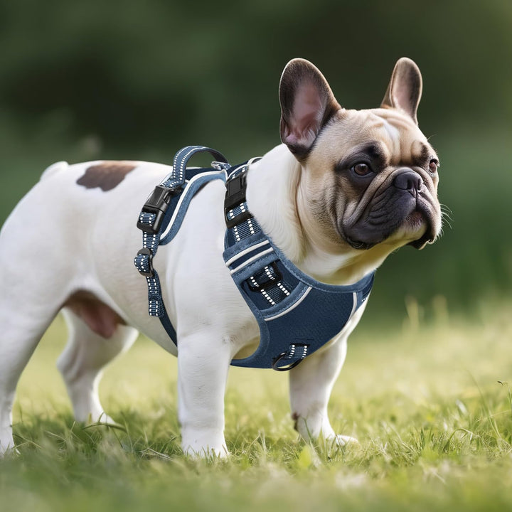 HEELE Hundegeschirr ohne Zug, Brustgeschirr für kleine Hund, einstellbares reflektierendes Hunde Ges