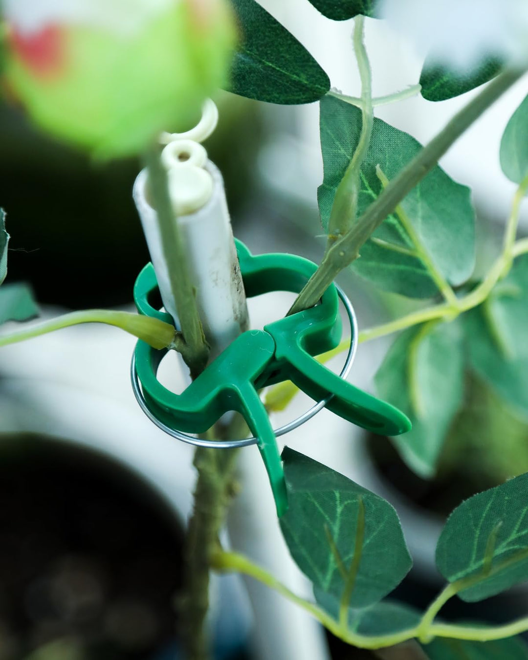 80 Pflanzenclips Pflanzenklammern für Rankhilfe Tomaten, Rosen, Gurken und andere Rankpflanzen – Bes