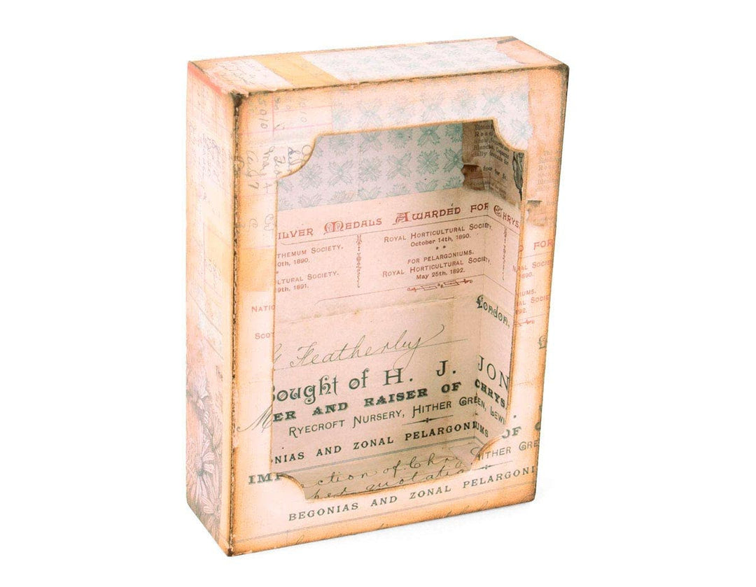 Sizzix 613360 Bigz XL Stanzschablone mit Framelits 664419 Kuriositätenkiste von Tim Holtz, Mehrfarbe