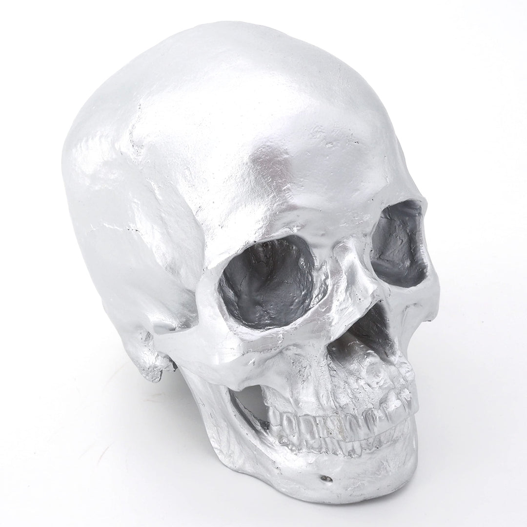 Cranstein Scientific Menschlicher Schädel mit Unterkiefer | Totenkopf | Deko (Farbe Hellsilber)
