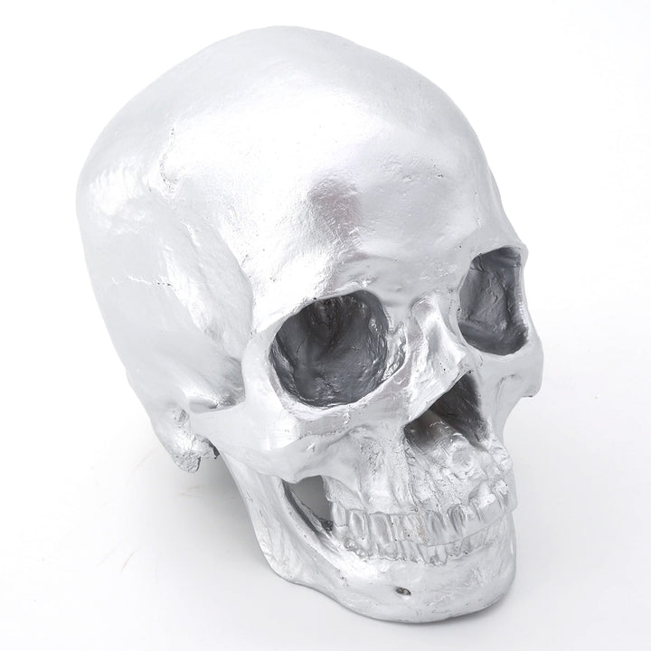 Cranstein Scientific Menschlicher Schädel mit Unterkiefer | Totenkopf | Deko (Farbe Hellsilber)