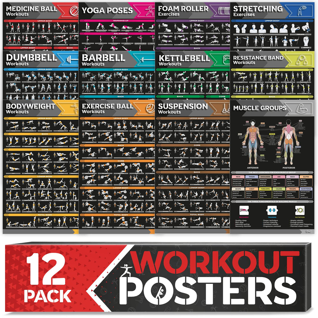 GRAND BASICS Laminiertes grosses Workout-Poster-Set – perfekte Workout-Poster für das Fitnessstudio