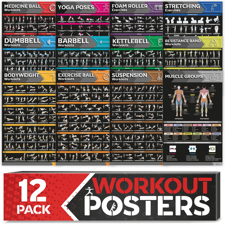 GRAND BASICS Laminiertes grosses Workout-Poster-Set – perfekte Workout-Poster für das Fitnessstudio