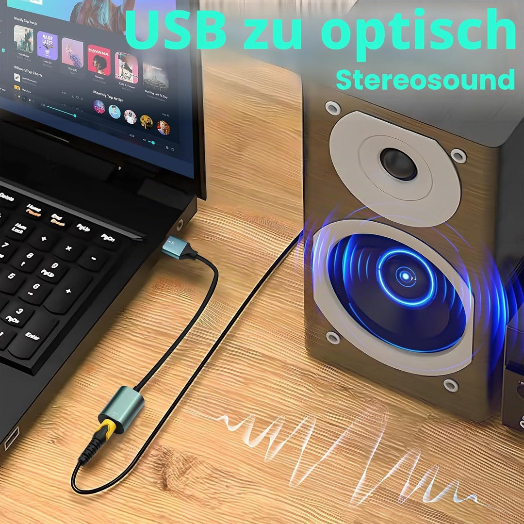 Duttek USB A zu Toslink Optik Stereo Konverterkabel 0.2 m, unidirektional USB A Stecker auf SPDIF Bu