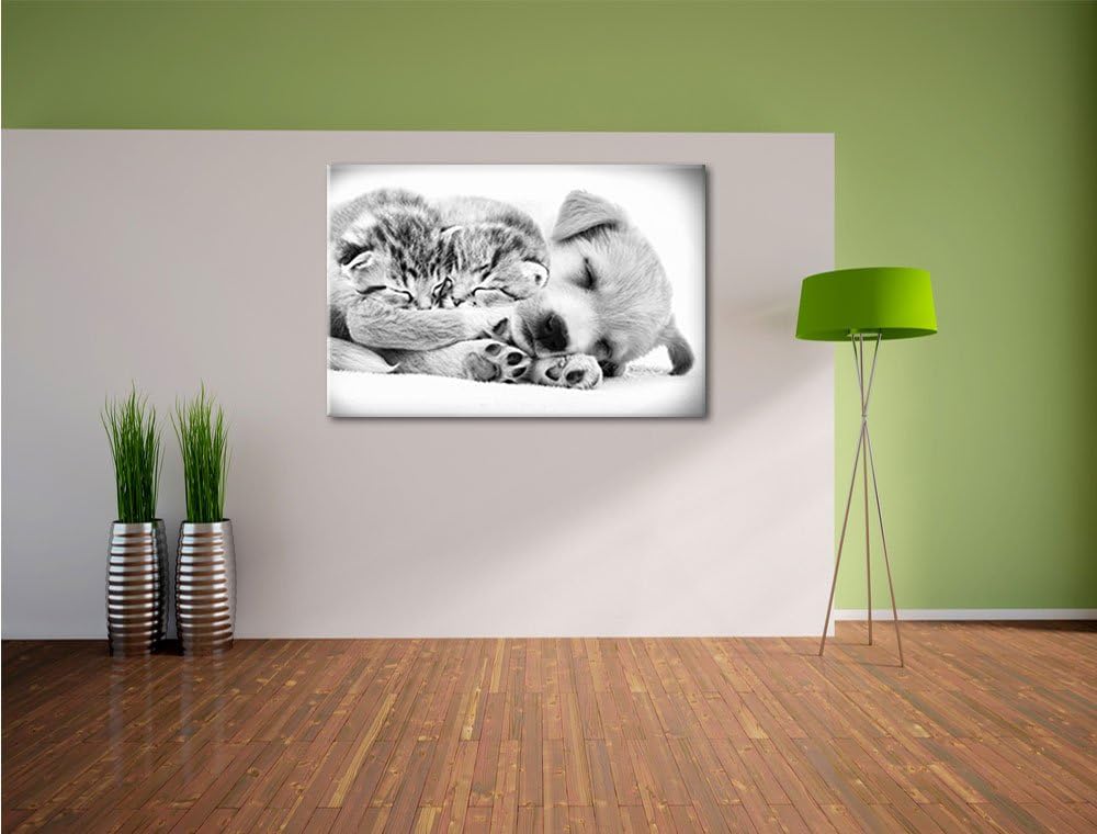 Pixxprint Hundewelpe mit kleinen Kätzchen als Leinwandbild/Grösse: 100x70 cm/Wandbild/Kunstdruck/fer