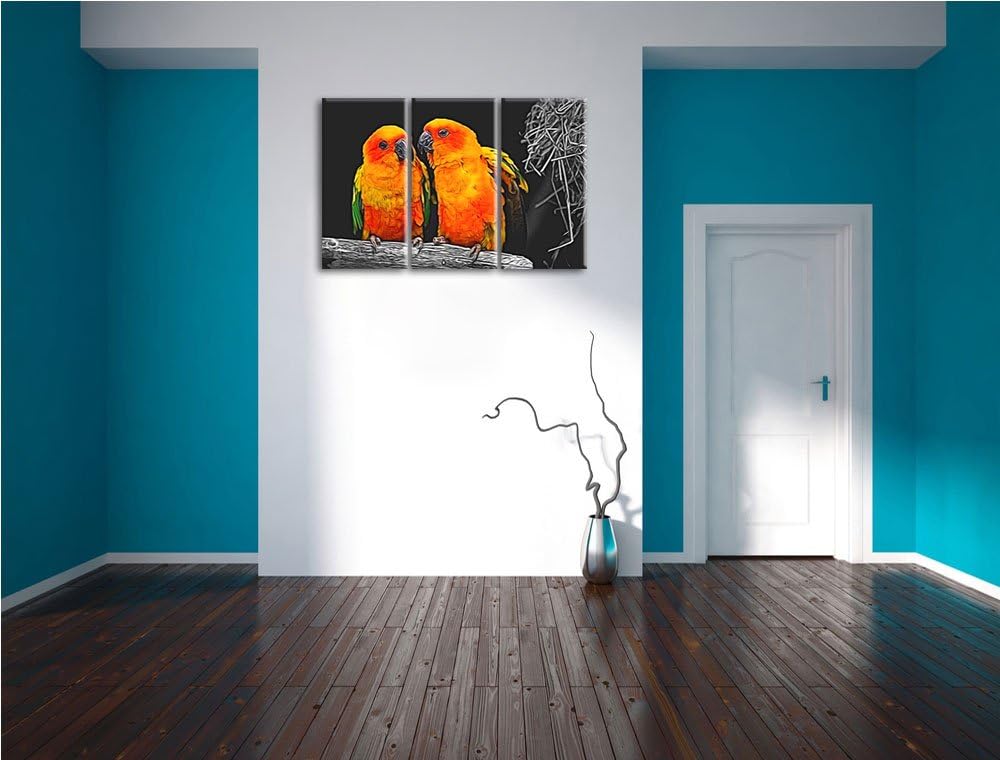 zwei niedliche Sonnensittiche schwarz/weiss Deluxe 3-Teiler Leinwandbild 120x80 Bild auf Leinwand, X