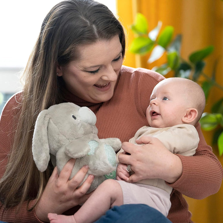 Ingenuity Heart to Hugs Sylvi Wohlfühl Plüschhase, Lichter und Geräusche durch Schütteln des Spielze