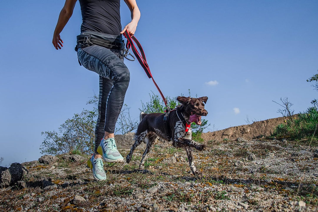 JK9 Speed Hundegeschirr, Grösse: S, Rot Rot S, Rot S