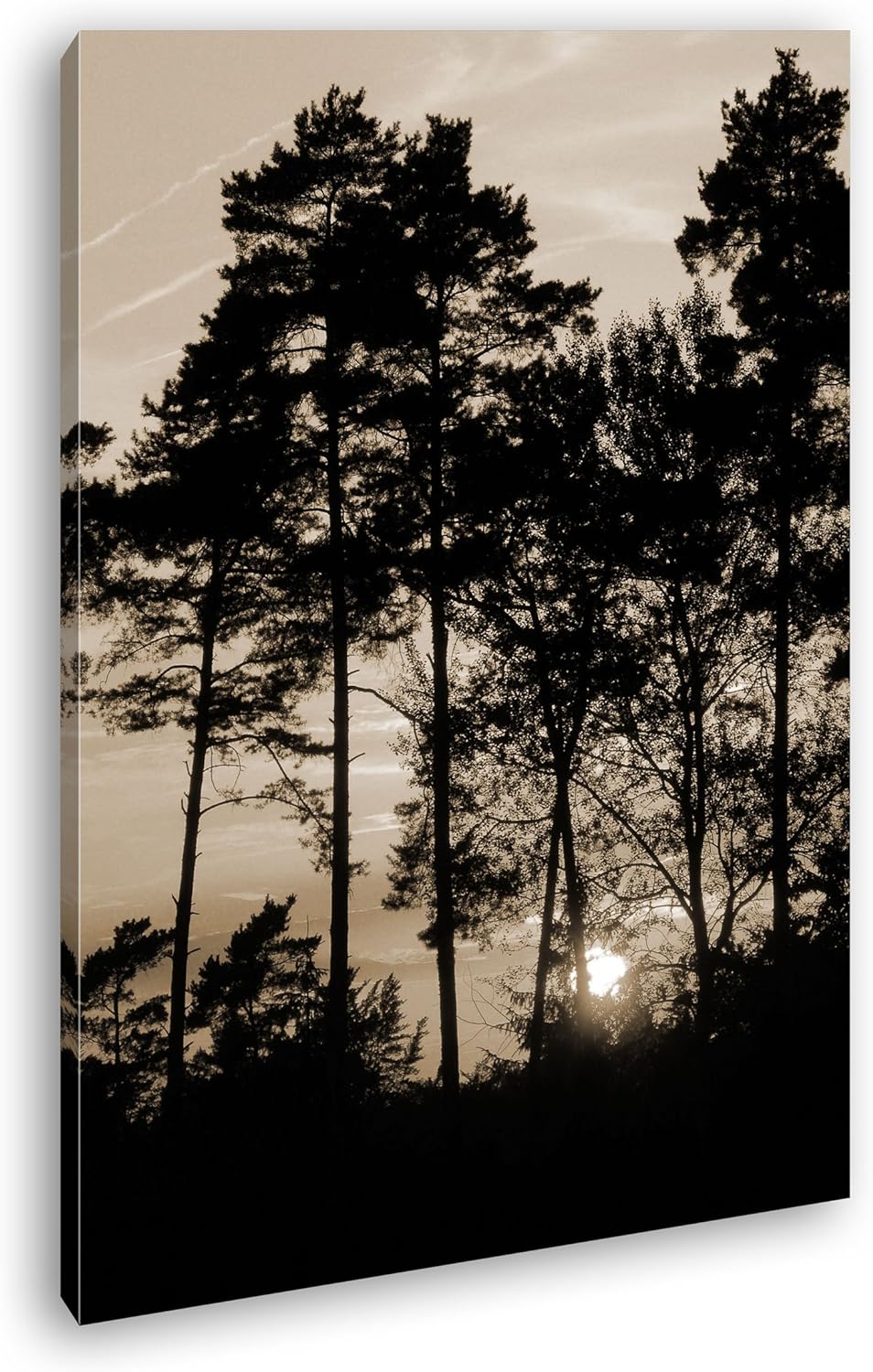 Morgendämmerung zwischen den Bäumen Format: 80x60 Effekt: Sepia als Leinwand, Motiv fertig gerahmt a