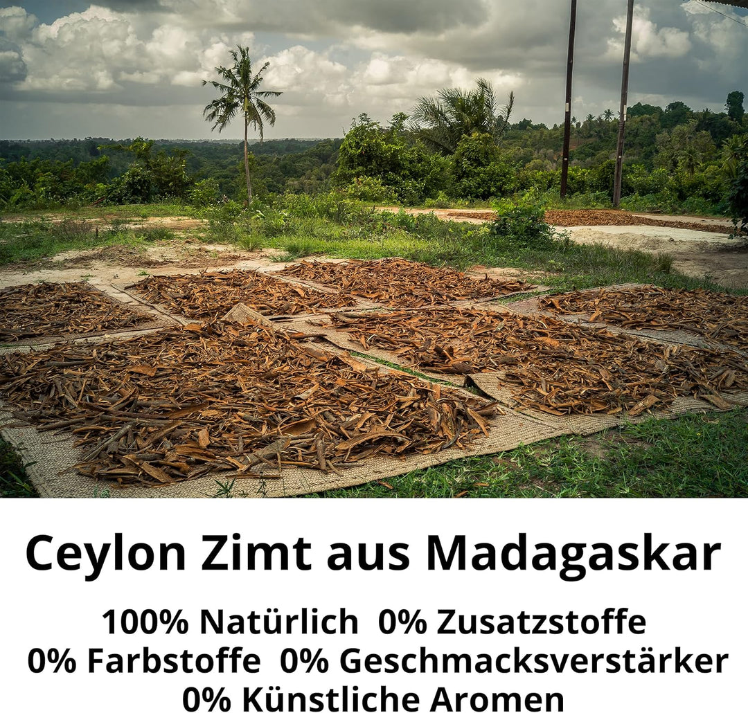 Spicebar - Ceylon Zimt Bio - feiner Zimt gemahlen im praktischen Gewürz-Streuer - Zimt Pulver mit we