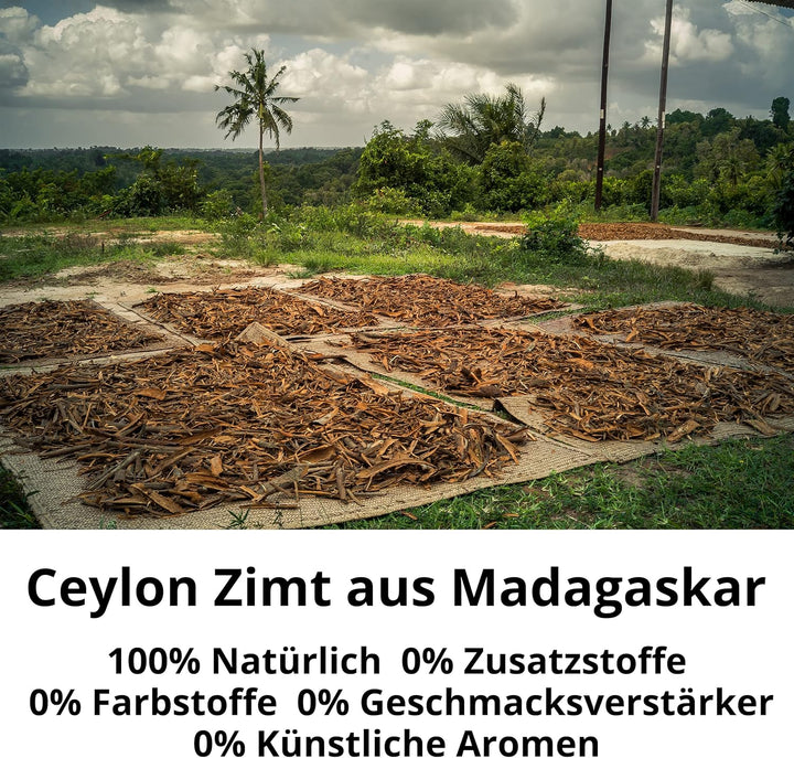 Spicebar - Ceylon Zimt Bio - feiner Zimt gemahlen im praktischen Gewürz-Streuer - Zimt Pulver mit we