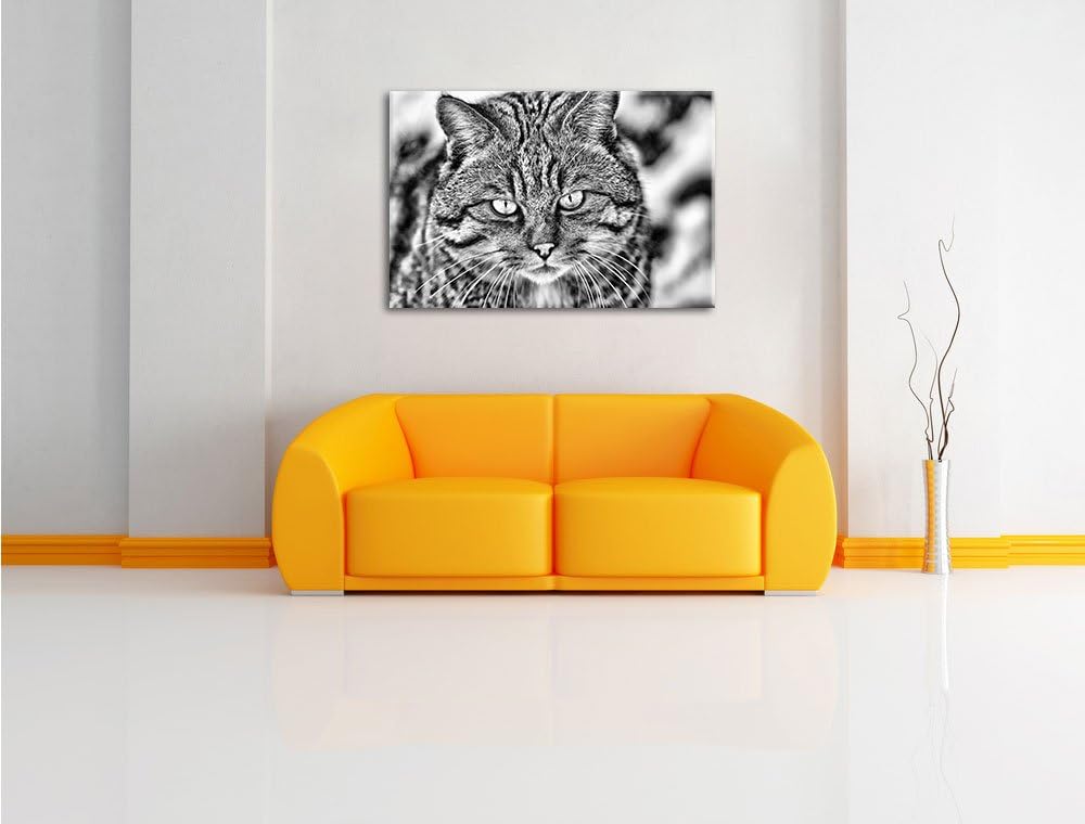 Monocrome, lauernde Manul, Format: 100x70 auf Leinwand, XXL riesige Bilder fertig gerahmt mit Keilra