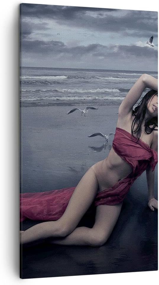 Bilder auf Leinwand Modell Möwe Vogel Natur Leinwandbild mit Rahmen 45x80cm Wandbilder Dekoration Wo