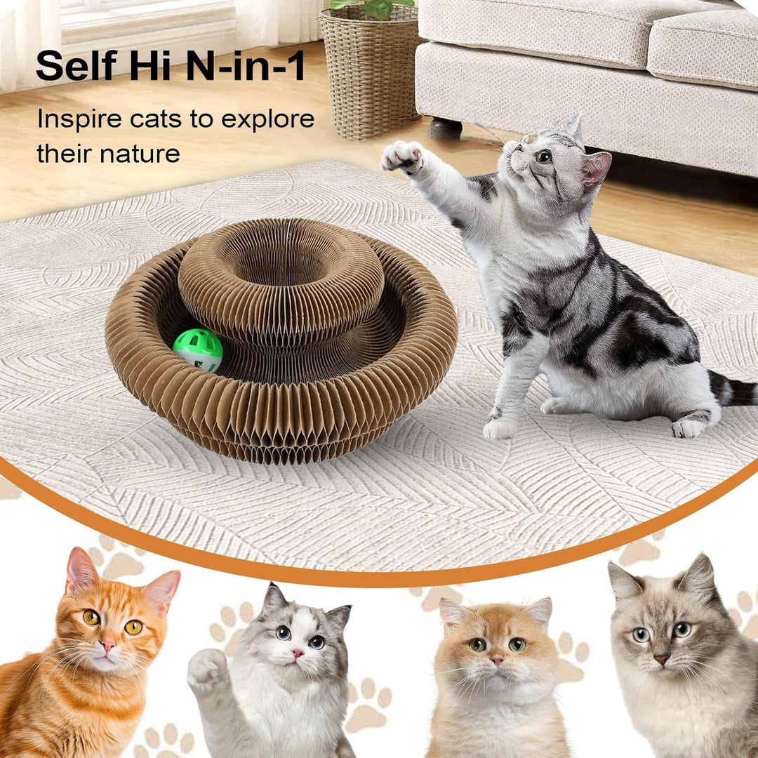 Kratzkokon, Katzenwirbel Für Grosse Katzen, Tragbare Pet Cat Scratch Board, Faltbar Interaktive Krat