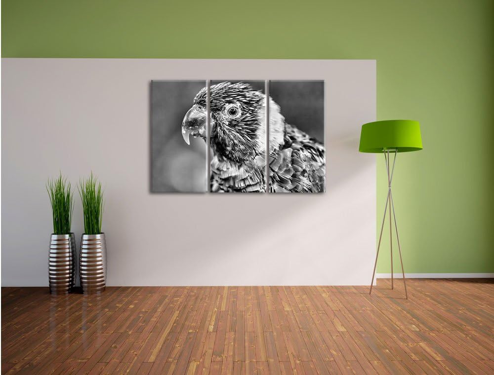 Pixxprint farbenfroher Papagei als Leinwandbild/Grösse: 3 Teilig (120x80) cm/Wandbild/Kunstdruck/fer