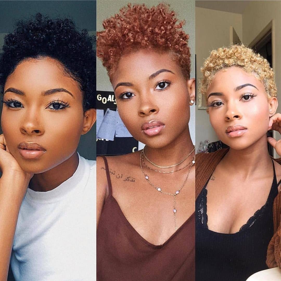 Afro gekinky lockiges menschliches Haar kurze Perücken für Frauen, flauschige Maschine hergestelltes