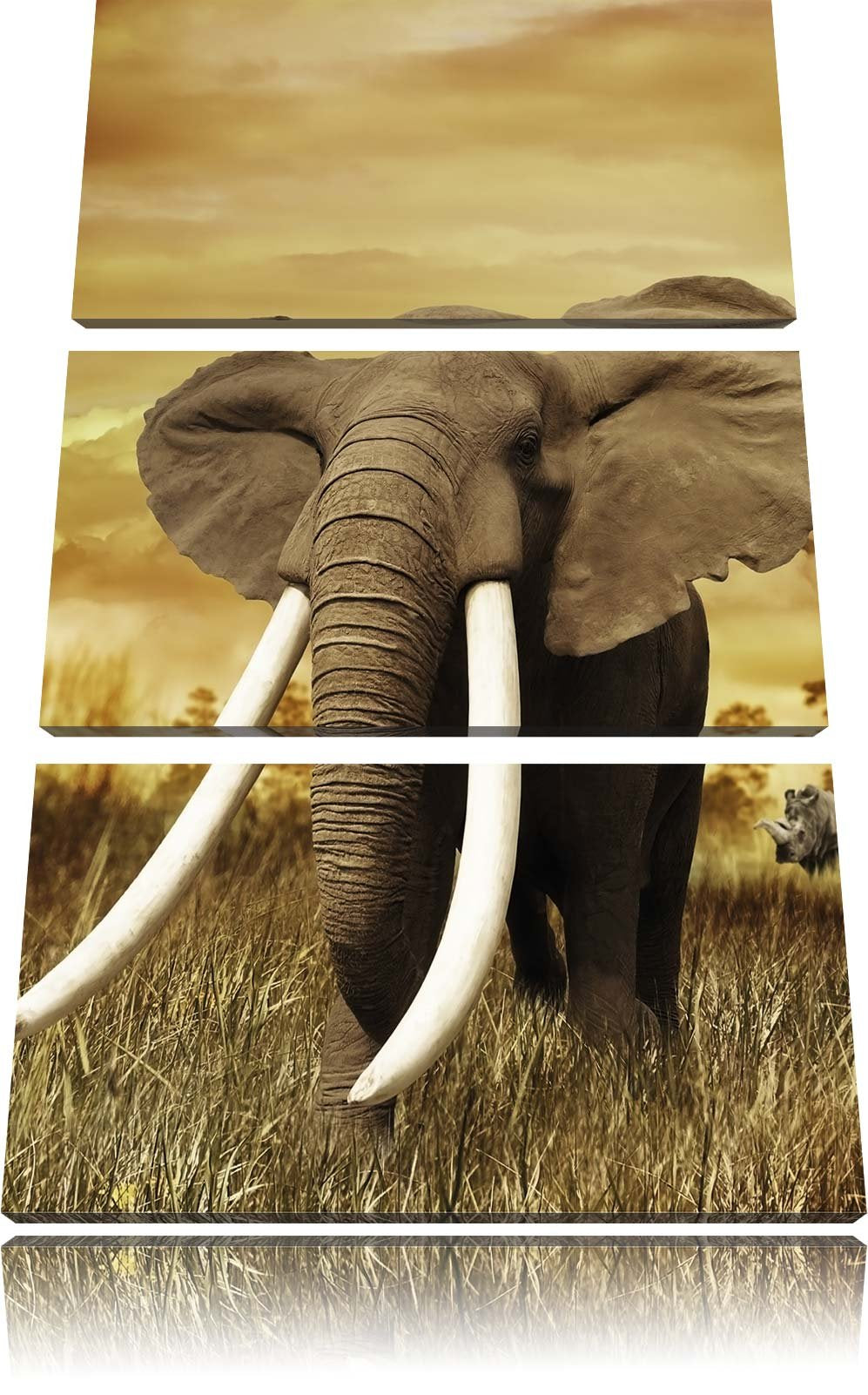 Pixxprint Stolzer Elefant in Savanne als Leinwandbild/Grösse: 3 Teilig (120x80) cm/Wandbild/Kunstdru