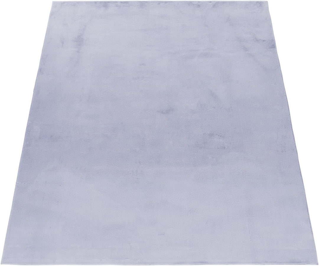 Carpetsale24 Teppich Wohnzimmer Einfarbig Modern Design 160 x 230 cm Silberfarbe - Hochflor Teppich