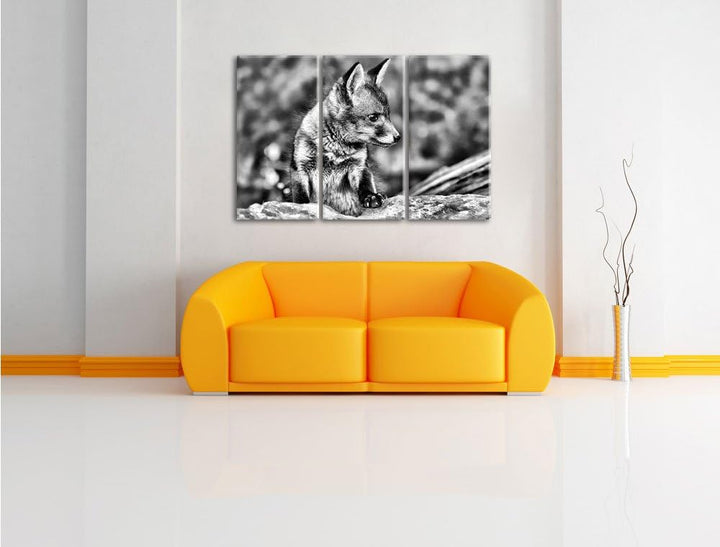 Pixxprint junger Fuchs als Leinwandbild/Grösse: 3 Teilig (120x80) cm/Wandbild/Kunstdruck/fertig besp
