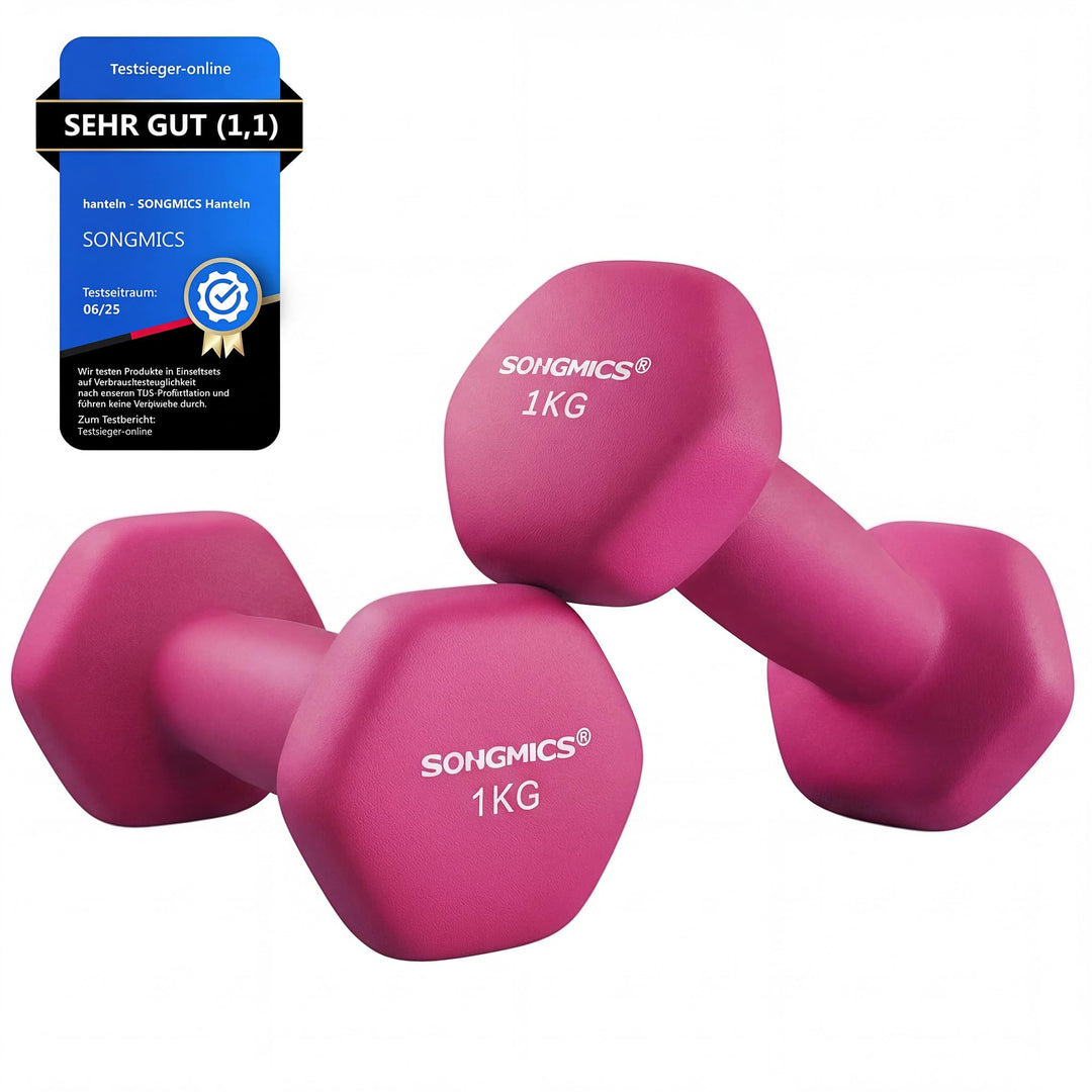 SONGMICS Hanteln, 2er Set,Hantelset, Kurzhanteln, Hexagon, Neopren-Beschichtung, Krafttraining, Work