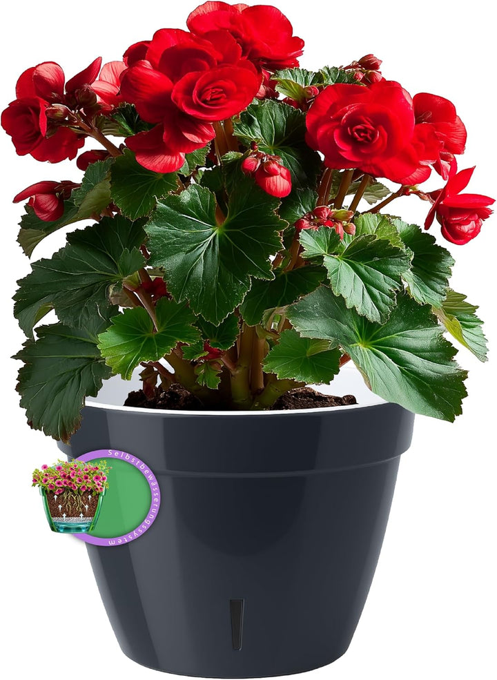 Santino ASTI 3er Set 18CM Selbstwässernder Blumentopf mit Wasserstandsanzeiger für Anlagen, Blumen,