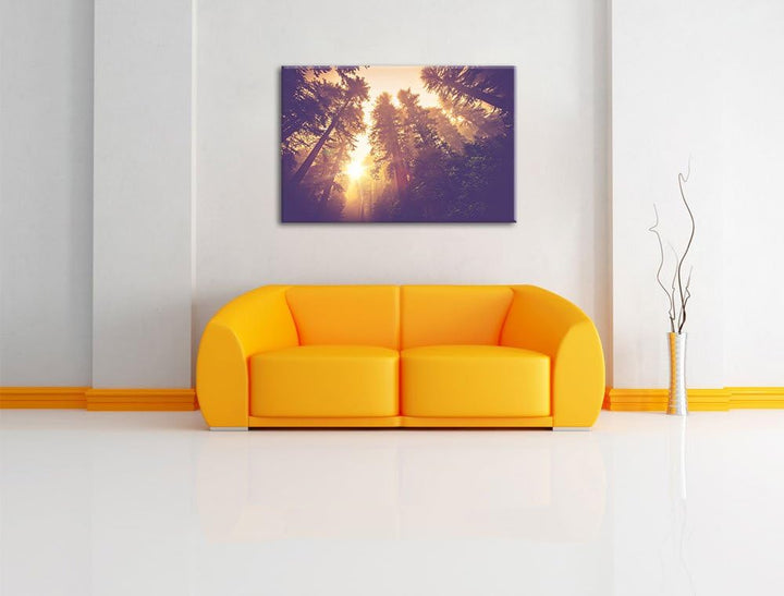 Blick in die Baumwipfel, Format: 100x70 auf Leinwand, XXL riesige Bilder fertig gerahmt mit Keilrahm