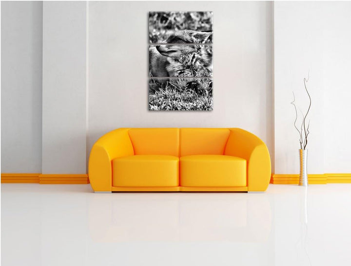 Pixxprint Fuchs im Gras als Leinwandbild/Grösse: 3 Teilig (120x80) / Wandbild/Kunstdruck/fertig besp