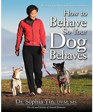 The Buddy System Made in USA Adjustable Hands Free Leash, Great for Running, Regular Dog System, Reg