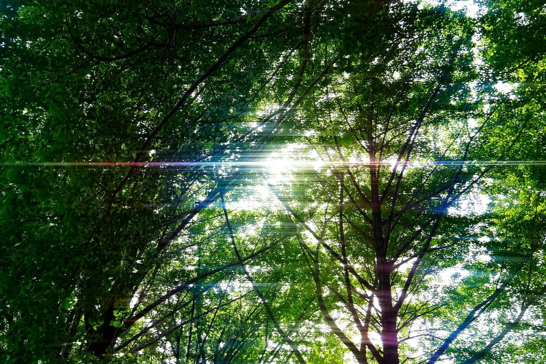 Kenko ANAMORFLARE Rainbow φ82mm, Strahlenförmiger Streulichteffekt-Filter, Drehbarer Rahmen, Hergest