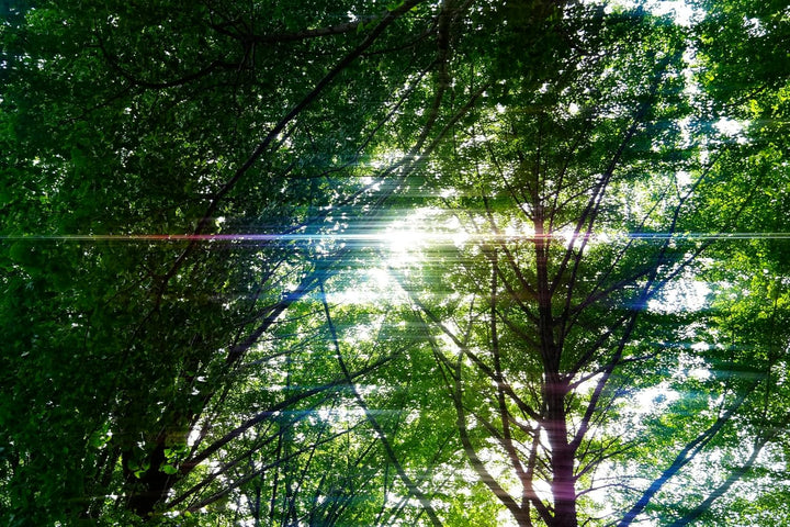 Kenko ANAMORFLARE Rainbow φ82mm, Strahlenförmiger Streulichteffekt-Filter, Drehbarer Rahmen, Hergest