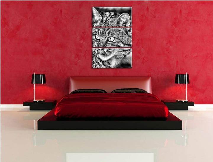 Pixxprint schöne Manul in Schneelandschaft als Leinwandbild/Grösse: 3 Teilig (120x80) cm/Wandbild/Ku