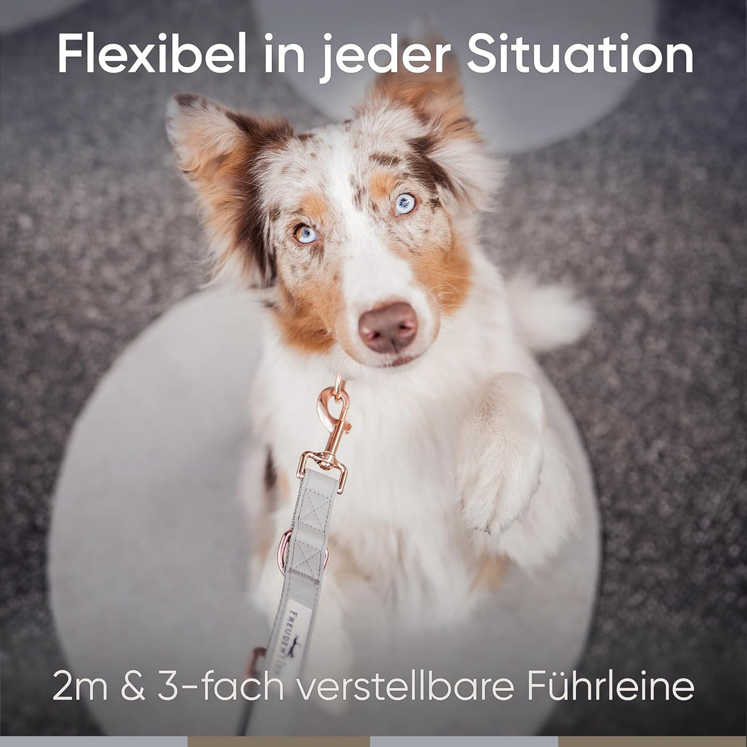 FREUDENTIER® Hundehalsband und Hundeleine (2m) aus veganem Leder im Set - Stilvoll und robust - Für
