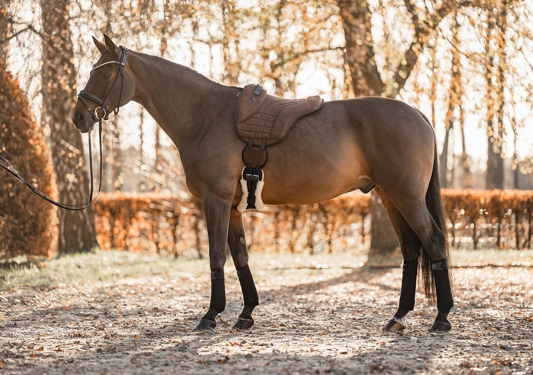Equinate Reitpad Harper aus synthetischem Wildleder Pony Braun - Bareback Pad mit pflegeleichter Neo