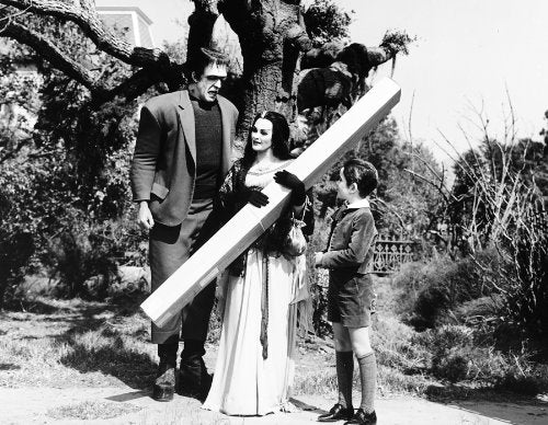 Die Munsters - Die komplette Serie [14 DVDs], DVD