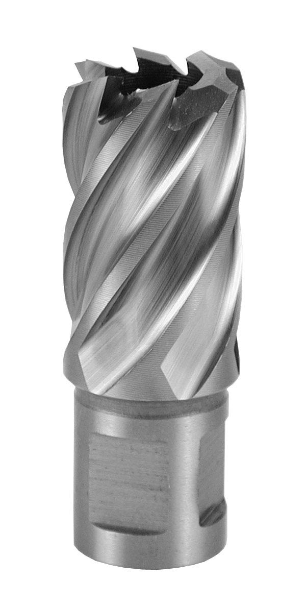 TERRAX by RUKO Kernbohrer HSS 22 mm Weldon 22.0mm, 22.0mm