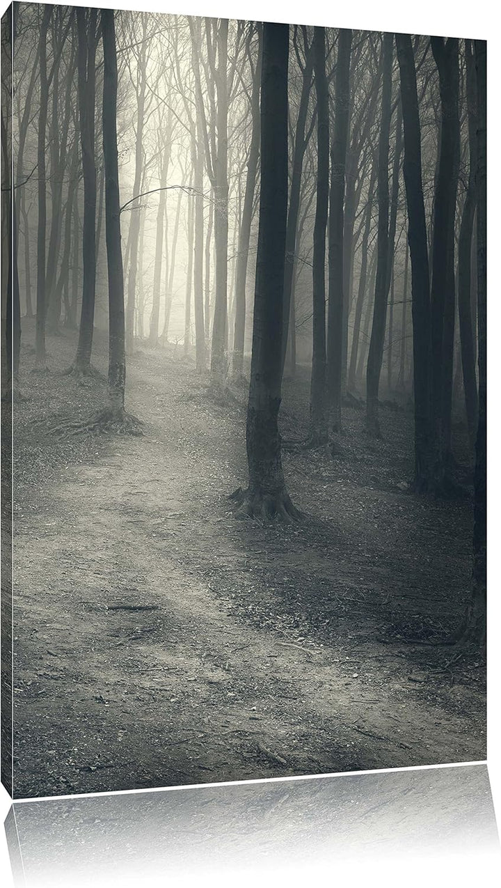 Pixxprint Düstere Landschaft schwarz weiss, Format: 100x70 auf Leinwand, 100x70