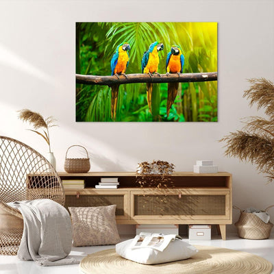 Bilder auf Leinwand 100x70cm Leinwandbild Papageien Collorful Natur Vögel Gross Wanddeko Bild Schlaf