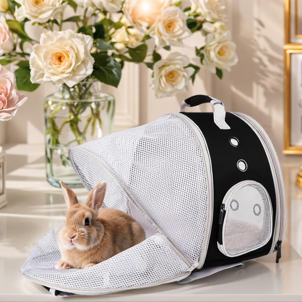 Kleintiertransporter Tragbare kleine Tier Rucksack Reise atmungsaktive Haustier Trägertasche Käfige