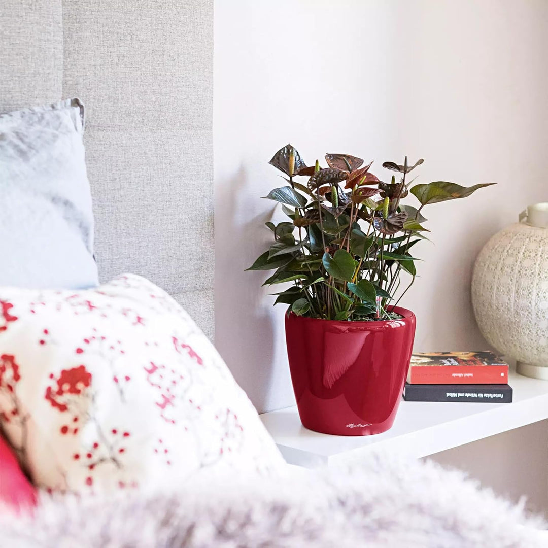 LECHUZA CLASSICO Premium LS 28 scarlet rot hochglanz 16047 28.5x28.5x26 cm Scarlet Rot Hochglanz Ein