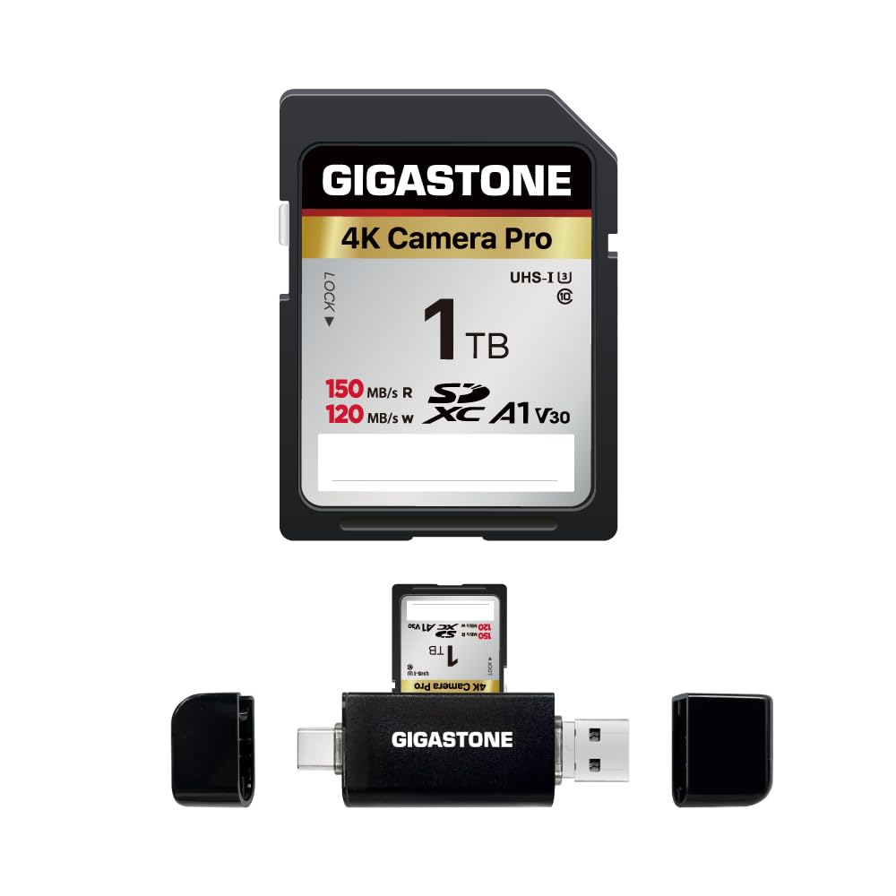 GIGASTONE 1 TB SD-Karte mit USB-Typ-C-Kartenleser, V30, SDXC-Speicherkarte, High-Speed, 4K, Ultra-HD