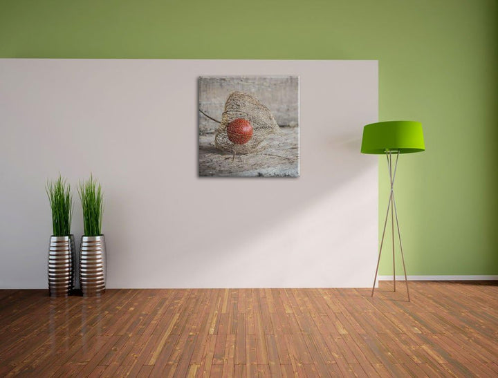 Pixxprint Physalis, Format: 70x70 auf Leinwand, XXL riesige Bilder fertig gerahmt mit Keilrahmen, Ku
