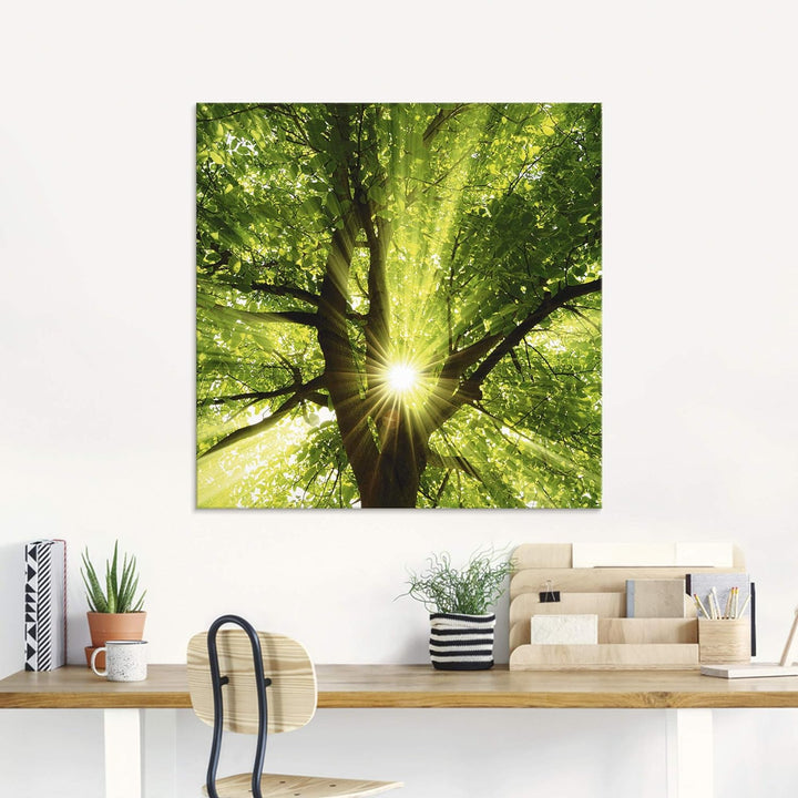 Glasbilder Wandbild Glas Bild einteilig 50x50 cm Quadratisch Wald Natur Botanik Bäume Laubbaum Sonne
