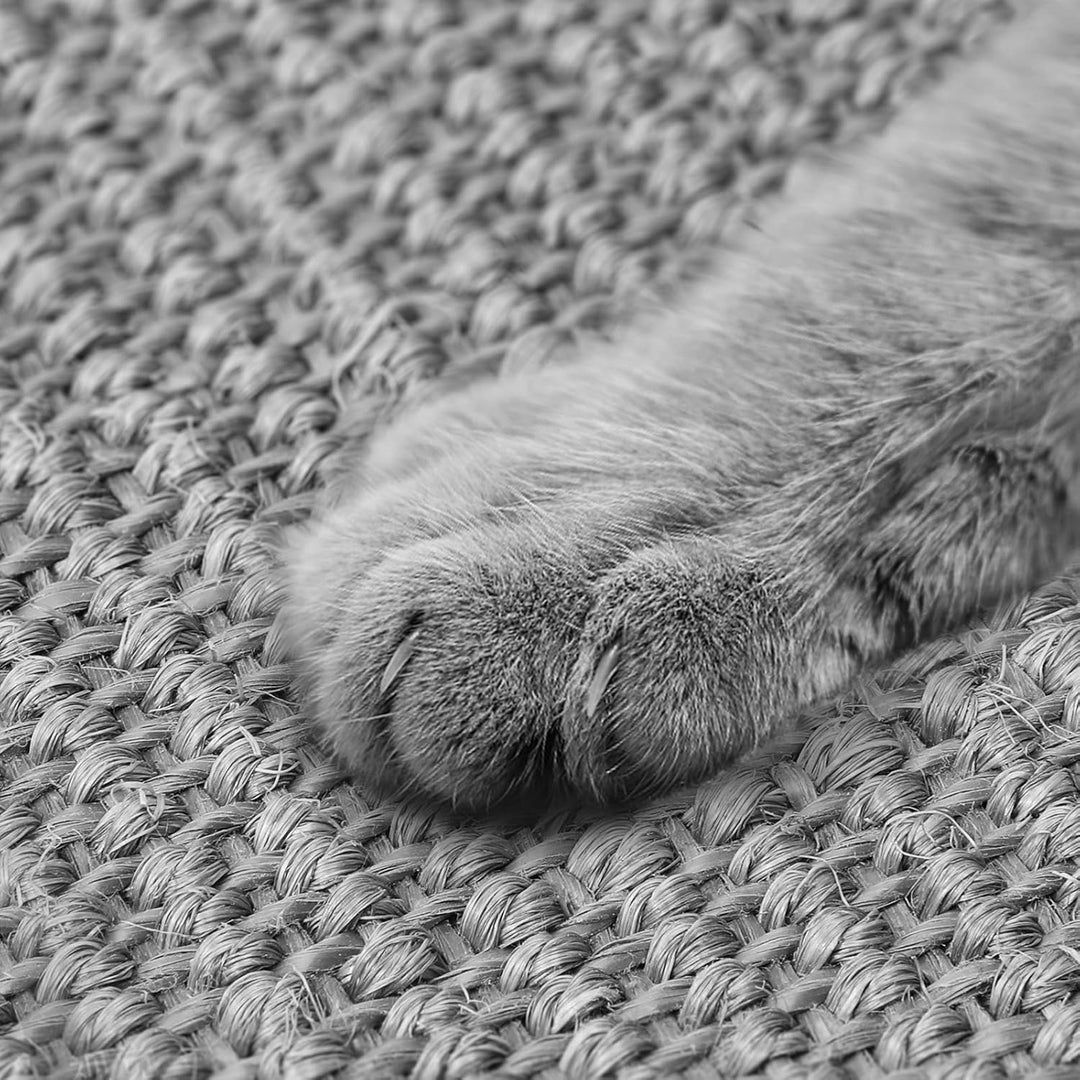 Graciadeco 2 Kratzmatte Katze Wand Sisal Teppich, 60 x 40cm Katzen Kratzbrett Natürlich Katzenkratzb