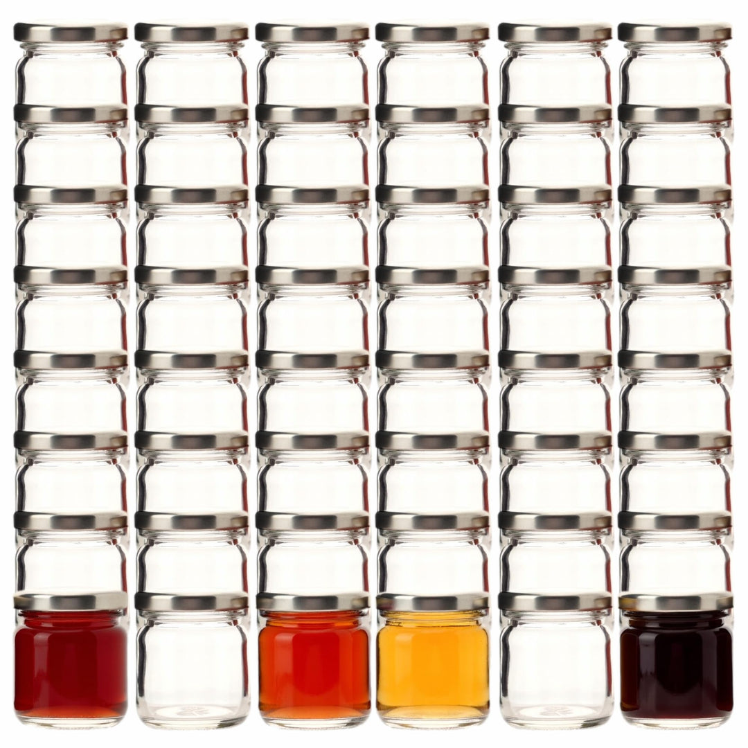 gouveo 48er Set Einmachgläser 40 ml Mini mit Schraub-Deckel silberfarben - Mini Vorratsgläser mit Dr
